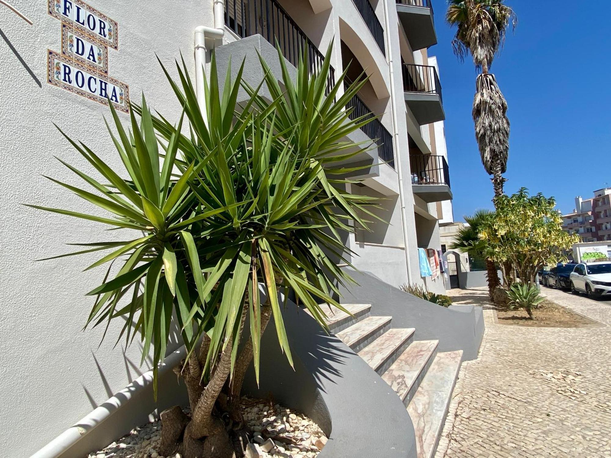 Flor Da Rocha By Coral Apartment *